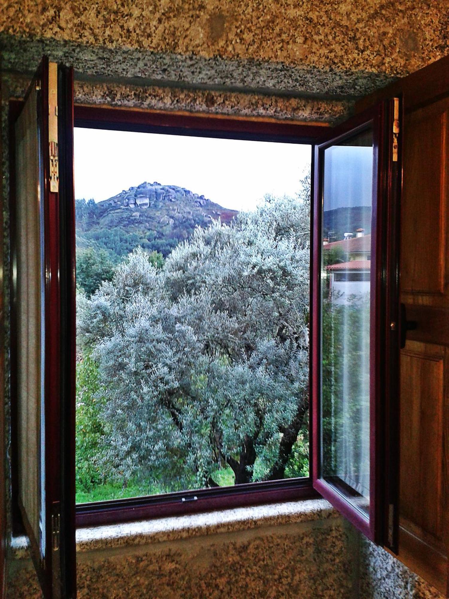 Quinta Da Penela Guest House Vieira do Minho Cameră foto